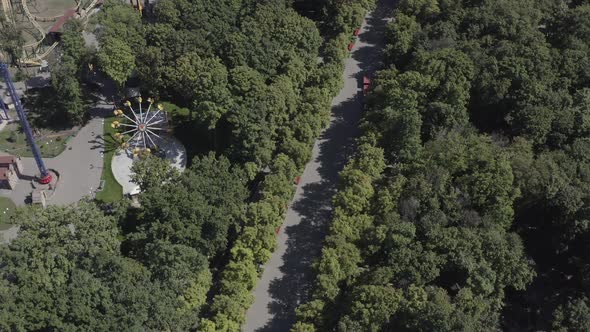 Aerial Circular Shot of the Central Alley of Gorky Park with Many Trees Working Rides in Sunny alt