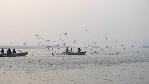 Wooden boats and seagulls flying. alt