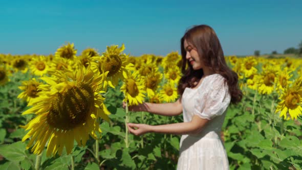 cheerful woman enjoying with sunflower field