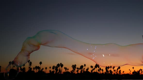Palm Trees Silhouettes Sunset Ocean Beach Soap Bubbles California Coast USA alt