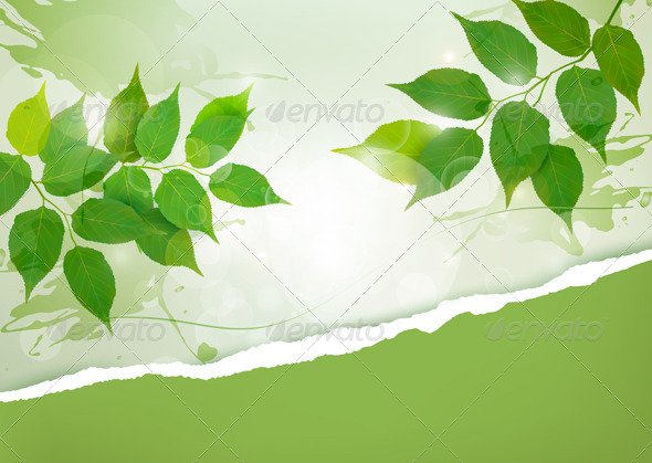 Nature background with green spring leaves - Flowers & Plants Nature