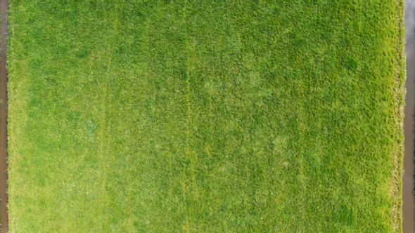 Aerial view grass field