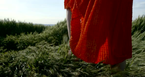 Woman Legs in Long Red Dress Walking Along Green Field alt