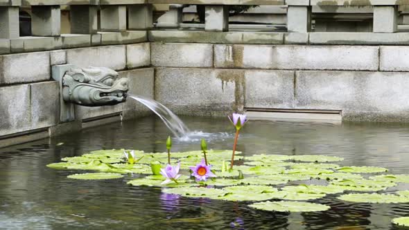 Small Fountain and Water Lilies in a Park Pond
