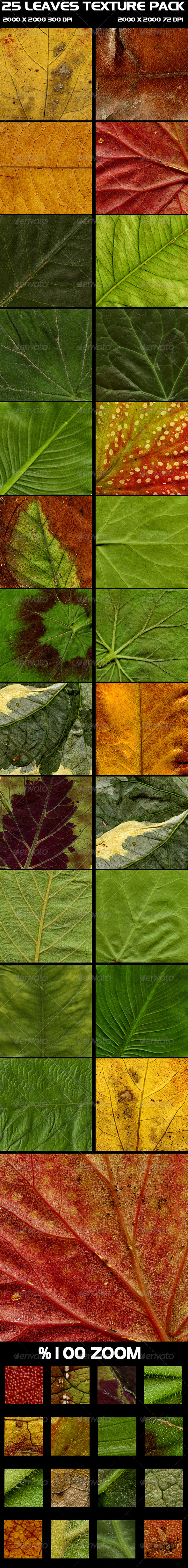 25 Leaves Texture Pack - Nature Textures