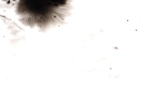 Slow motion video clip of spreading ink blot alt