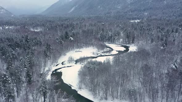 Beautiful Snow Scene Forest in Winter alt