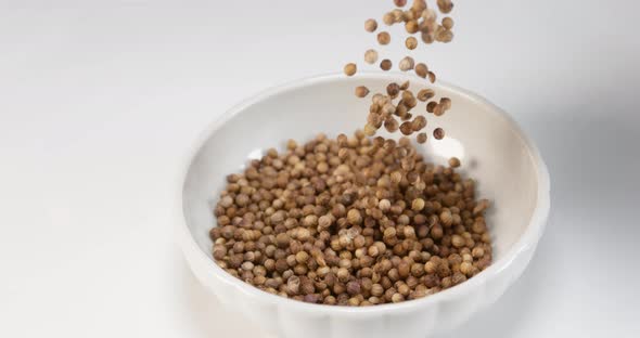 Coriander, coriandrum sativum, seeds falling against White Background, Slow Motion 4K alt