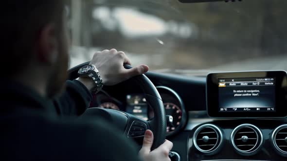 ride in a luxury car through the forest alt