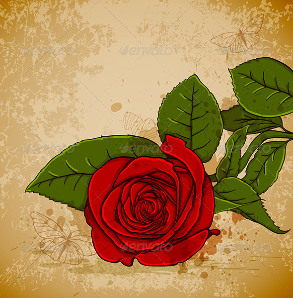 Vintage Red Rose - Flowers & Plants Nature