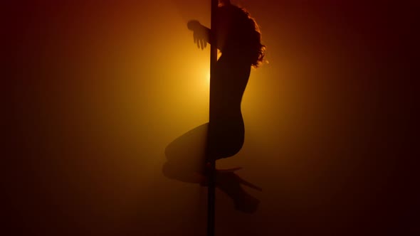 Silhouette Woman Pole Dancing Emotionally on Nightclub alt