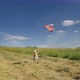 Little boy playing colorful kite - VideoHive Item for Sale