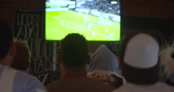 Sports fans watching football match on TV in sports bar, rear view