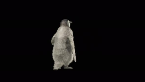 80 Penguin Dancing 4K alt