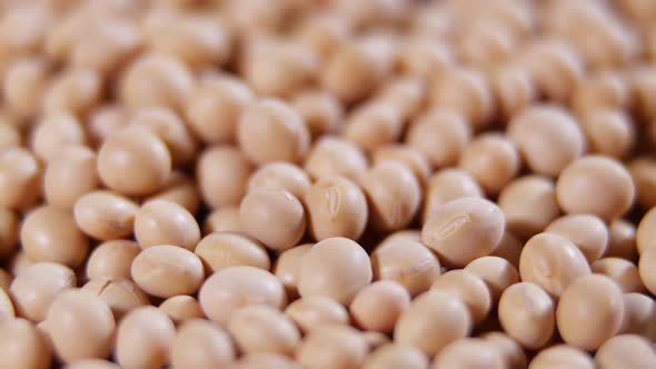 Raw Soybean Top View Texture High in Fiber Supplementary Food Protein Healthy Food Soybeans Organic alt