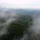Aerial view low foggy cloud around oil palm - VideoHive Item for Sale