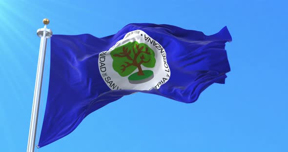 Flag of San Vicente Department, El Salvador alt
