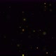 Luxury Particles Background