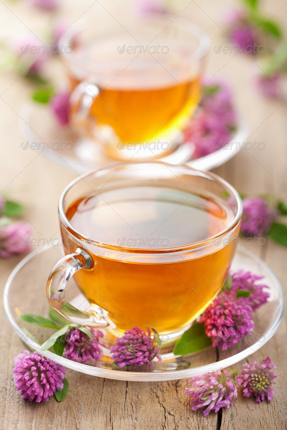 herbal tea and clover flowers - Stock Photo - Images