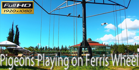 Pigeons Playing On Ferris Wheel 