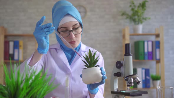 Muslim Woman Scientific Botanist in a National Scarf Working in the Laboratory Conducting alt