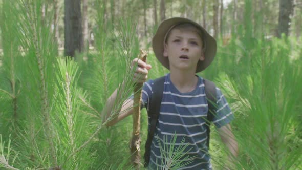 Boy hiking in woods alt