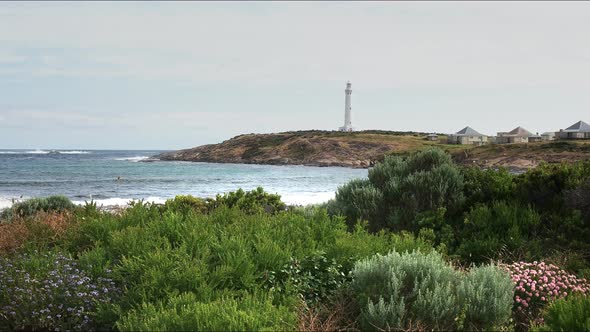 cape leeuwin lighthouse and coastal wildflowers alt