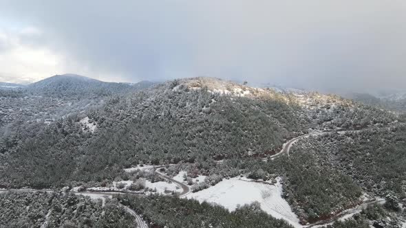 Winter Forest High Mountains Aerial View Snowy alt