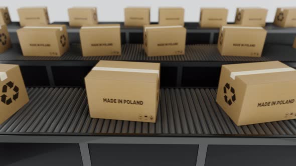 Boxes with MADE IN poland Text on Conveyor alt