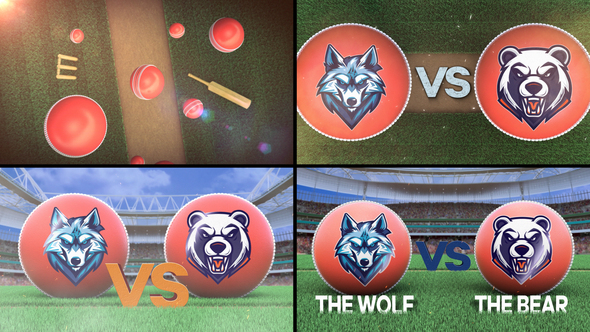 Cricket VS Logo Stings template preview