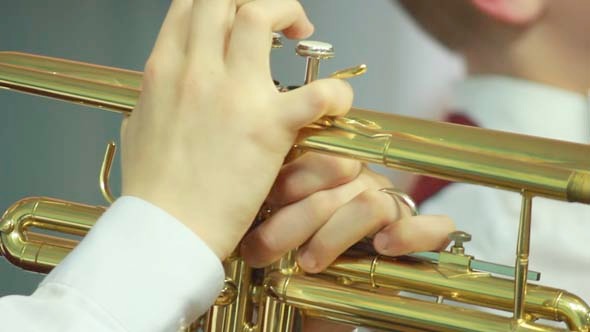 Hands Playing Wind Instrument 7