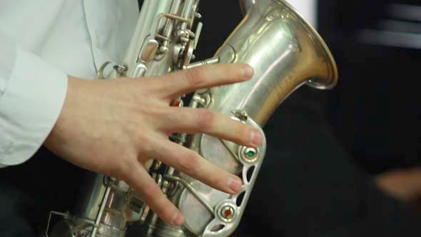 Hands Playing Wind Instrument 9