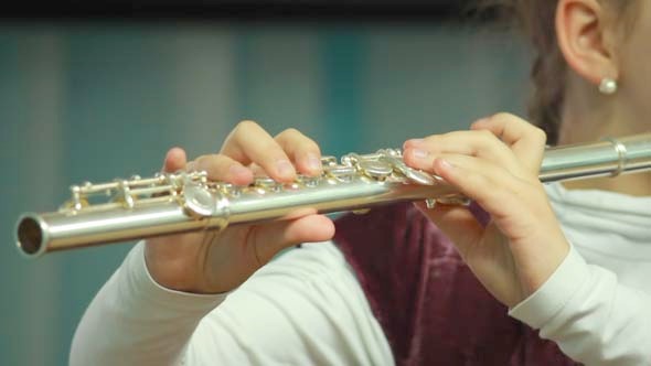 Hands Playing Wind Instrument 10