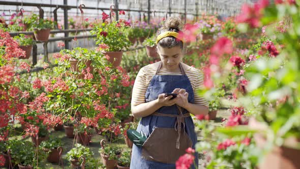 Florist Shoots Video with Smartphone Walking Past Flowers