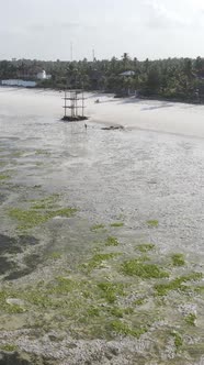Vertical Video of Low Tide in the Ocean Near the Coast of Zanzibar Tanzania alt
