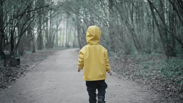 Small Child in a Yellow Raincoat with a Hood is Walking in the Dark Scary Forest