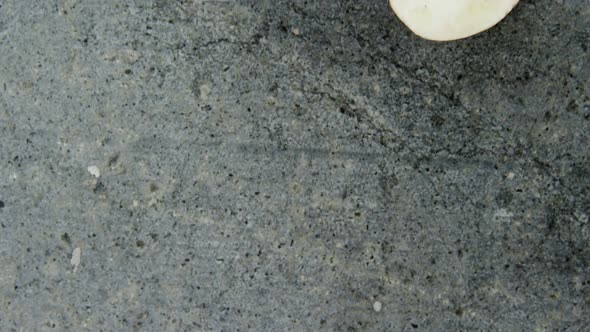 Chopped mushrooms on concrete alt