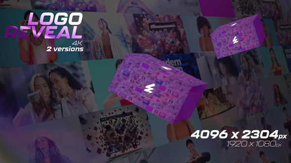 Mosaic Photo Wall and Logo Reveal Logo Stings template preview