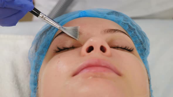 Professional Beautician Applying Face Cream Mask with Brush. Beauty Clinic. Young Woman Getting alt