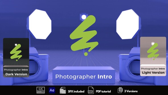 Photographer Intro Logo Stings template preview