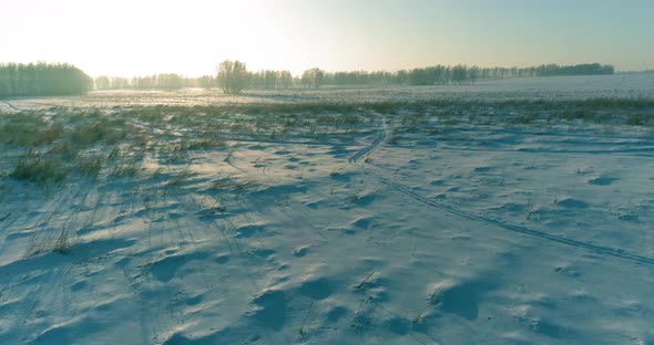 Aerial Drone View of Cold Winter Landscape with Arctic Field Trees Covered with Frost Snow and alt