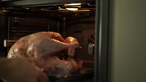 Close up Slide Prepared Turkey in the Oven