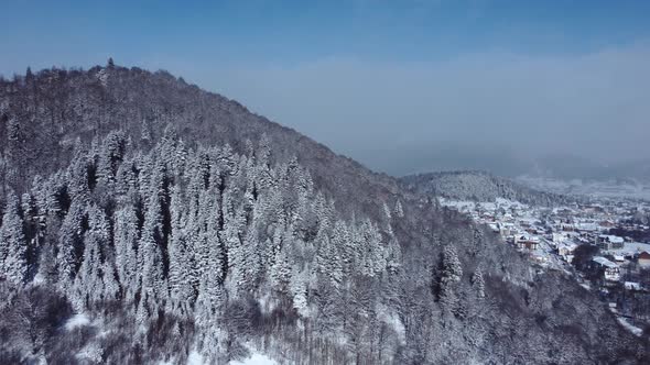 Snowed forest aerial view from drone alt
