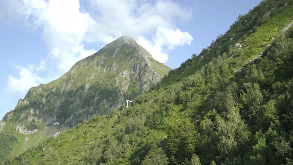 Aerial View of Mountains with Green Forest, Trees in Summer Day. Slopes of Mountains with Coniferous alt
