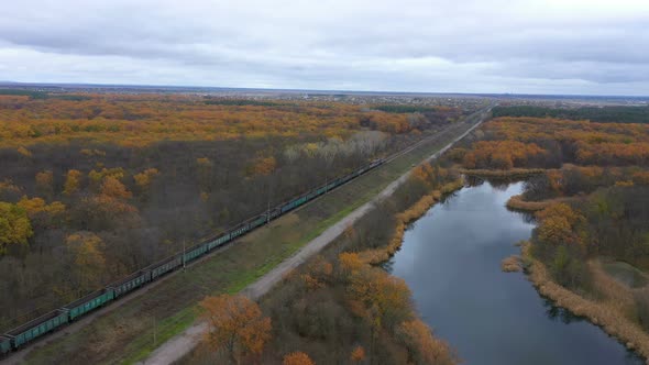 Train Through The Autumn Forest 2 alt