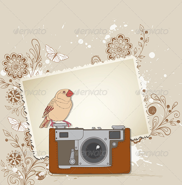 Old Camera and Bird - Backgrounds Decorative