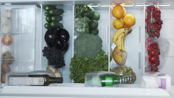 Vertical View of Cooler or Refrigerator Full of Fresh Organic Vegetables and Fruits alt