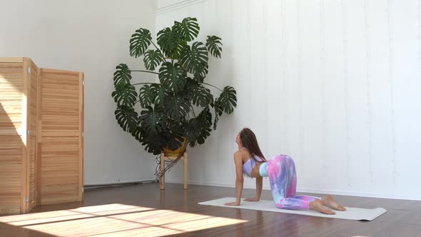 Attractive woman wearing sport bra practice yoga in light room