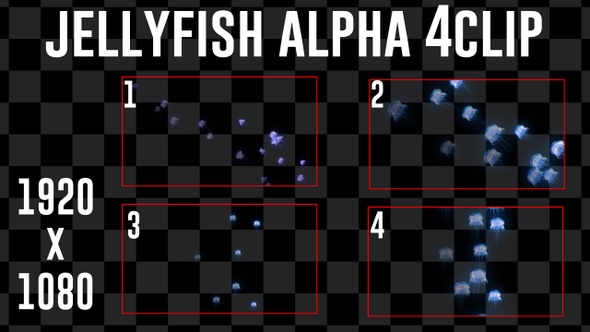 Jelly Fish Alpha 4Clip
