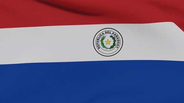 Flag Paraguay Patriotism National Freedom Seamless Loop alt